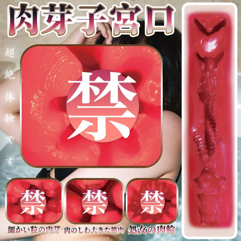 TOYSR日本女星三宫椿真人倒模名器手动飞机杯